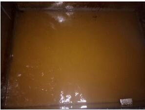 1630490371873114.jpg 22.jpg